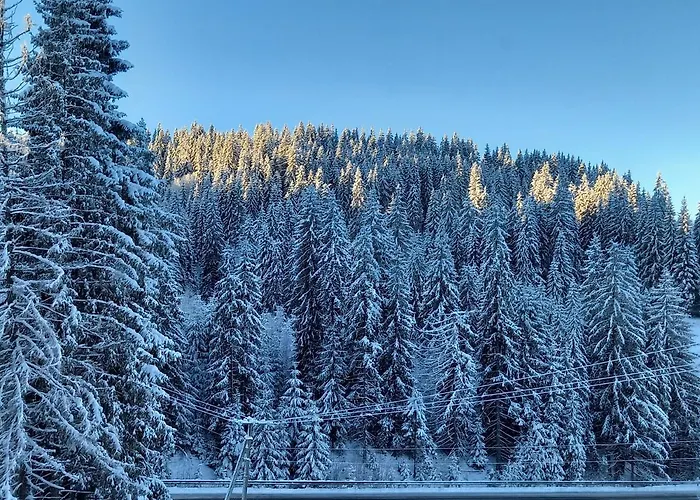 Дрім Хаус Яблуниця